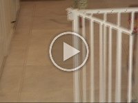 Clip 01 02
